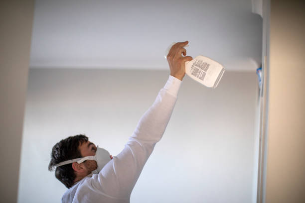 Best Commercial Mold Remediation in Saranac, MI