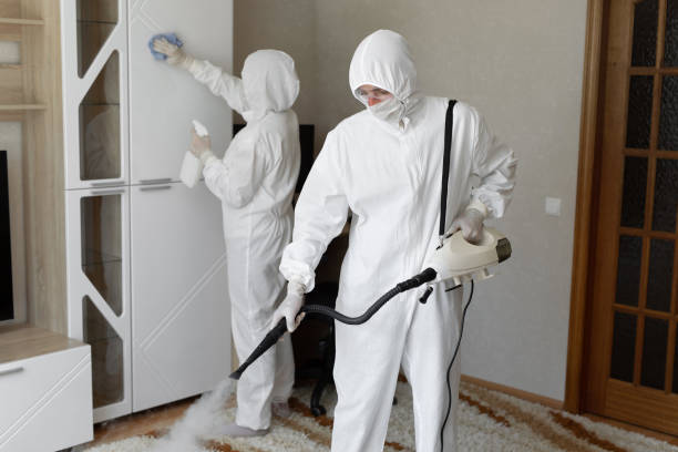Best Industrial Mold Remediation in Saranac, MI