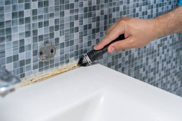 Best Mold Testing and Inspection Services in Saranac, MI