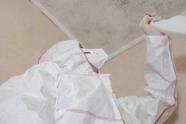 Best Mold Remediation for Specific Building Types in Saranac, MI