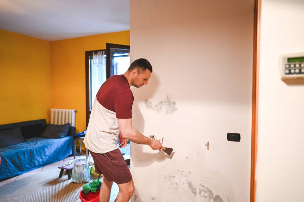  Saranac, MI Mold Removal Pros